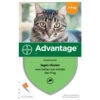 Advantage Advantage Kat 40 - Tot 4 Kilo 4 Pip -Dierengezondheidswinkel advantage advantage kat 40 tot 4 kilo 4 pip