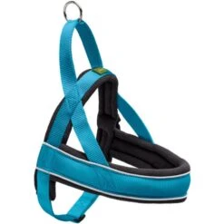 Hunter Hunter Harness Norweger Racing - Petrol-Zwart -Dierengezondheidswinkel hunter hunter harness norweger racing petrol zwart 5