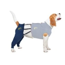 MPS Medical Pet Shirt HLS Hind L - 1 Stuk -Dierengezondheidswinkel mps medical pet shirt hls hind l 1 stuk 2