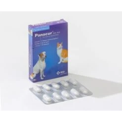 MSD Animal Health Panacur KH - 10 Tabletten -Dierengezondheidswinkel msd animal health panacur kh 10 tabletten 1