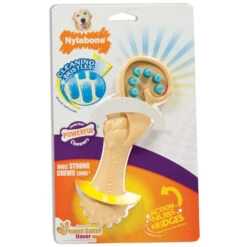 Nylabone Nylabone Dental Chew Bristle Brush Small
