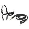 PetSafe Easy Walk Harness -Dierengezondheidswinkel petsafe easy walk harness