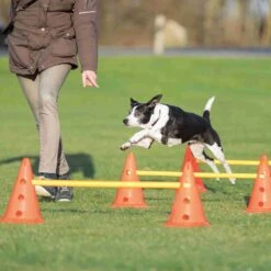 Trixie Trixie Agility Hordenset -Dierengezondheidswinkel trixie trixie agility hordenset 2